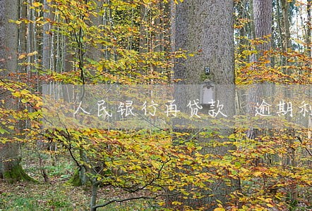 人民银行再贷款 逾期利率 人民银行再贷款 逾期利率